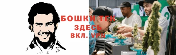 твердый Армянск