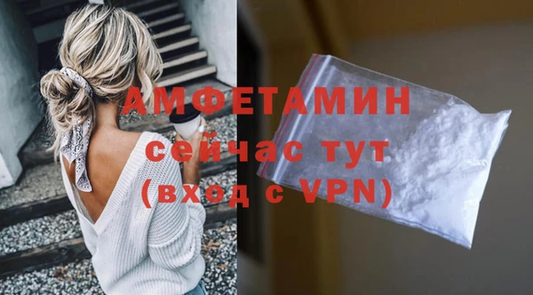 стафф Алзамай