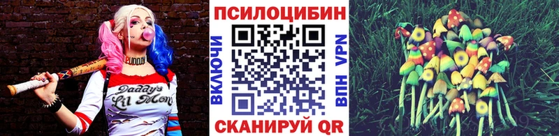 Галлюциногенные грибы Psilocybine cubensis наркота Георгиевск