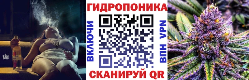 Бошки Шишки план  Георгиевск 
